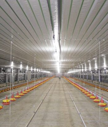 Granja CMI Suchitlan